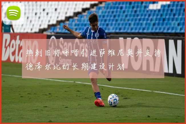 热刺旧将呼吁引进萨维尼奥并支持德泽尔比的长期建设计划