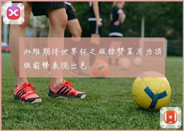 加维期待世界杯之旅称赞莱万为顶级前锋表现出色